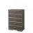 Escher Gray Oak Finish Chest