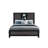 SOLUTO GREY AND BLACK BOOKCASE QUEEN BED-1581059419