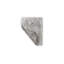 Dimensional 4 Piece Pages Wall Tiles Wall Décor Set