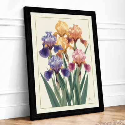 Iris Garden Botanical - Framed Print