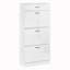18 - Pair Shoe Storage Cabinet
