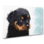 Rottweiler Puppy - Wrapped Canvas-55323143