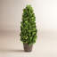 Alby Faux Plant-627489288