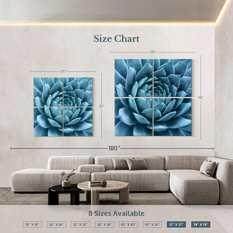Agave bleu argenté Harnek
