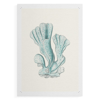 Corail antique antique - impression sur toile seulement - non encadrée