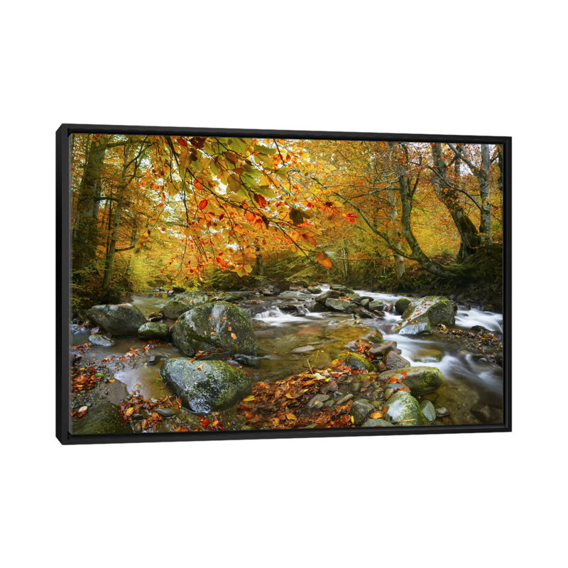 «The Rusty River», reproduction de photo sur toile, Toile encadrée noire, H 32 po x l 48 po x P 1,5 po