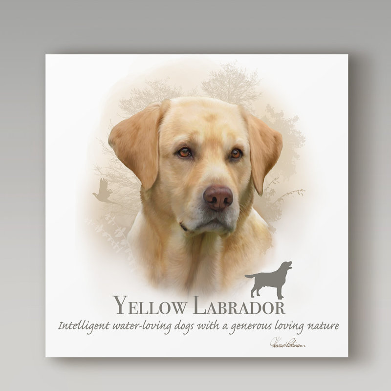 « yellow labrador », reproduction d’impression sur toile tendue, H 14 po x l 14 po x P 2 po