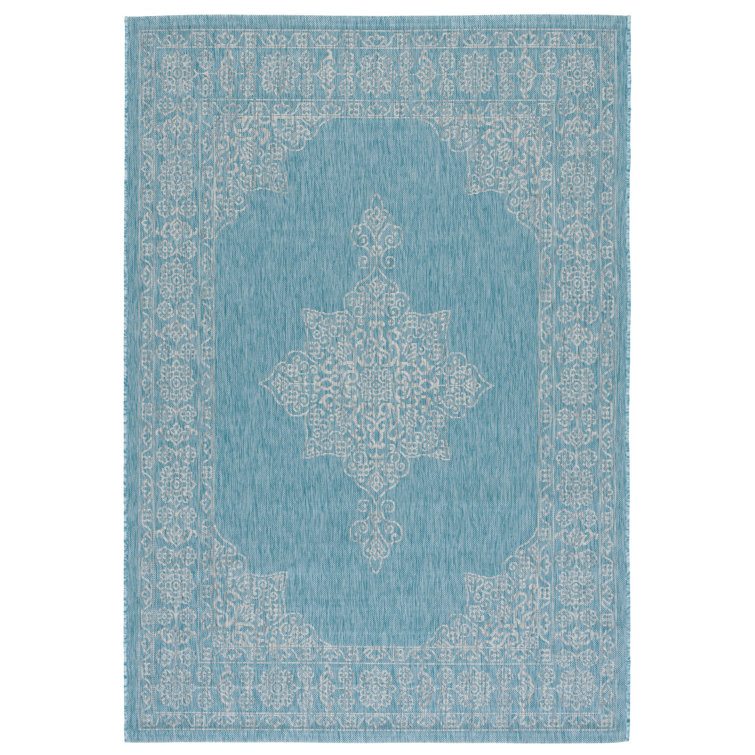 Amedee Performance Oriental Indoor/Outdoor Area Rug