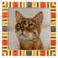 Capri Picture Frame