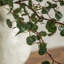 Faux Stem Twig Foliage Green 1190mm (12pk)