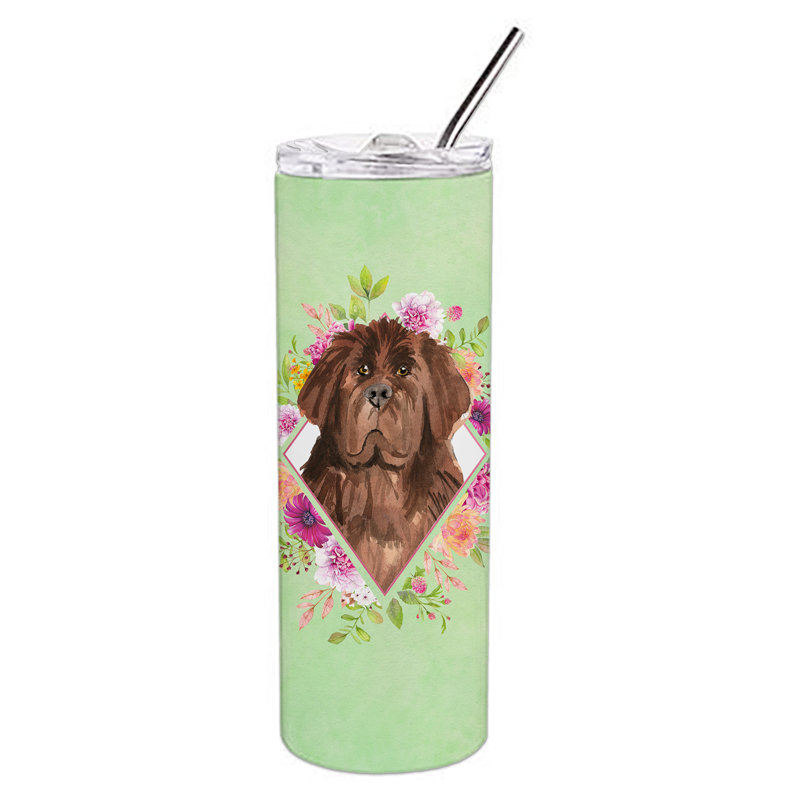 E23BF9F8391D466E9CA4F8DFEBD9A7DB de verre 20 oz à double paroi en acier inoxydable chiot, Terre-neuve brun, Vert