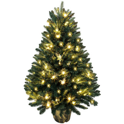 Christmas Tree with Lights