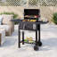 Dakota Fields Camala 62cm W Charcoal Grill