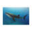 Majestic Whale Shark Art Majestic Whale Shark Print Animal Wall Art-1589093646