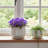 Set Of 3 White Ceramic Planters With Drainage Saucer Mesh Pad Indoor Decor Gift-1127883091