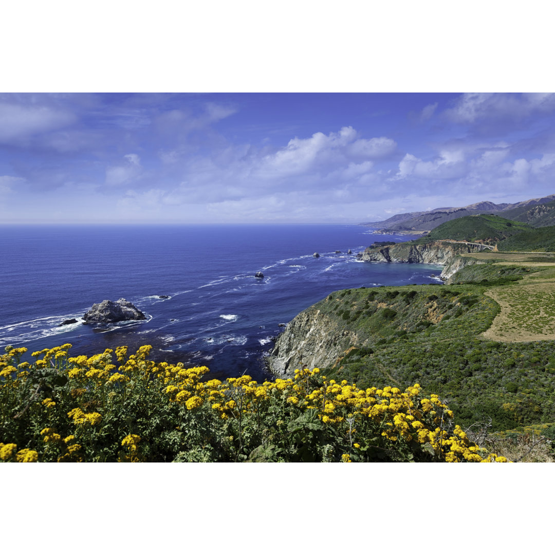 Big Sur Coastal Landscape von LordRunar - Kunstdrucke