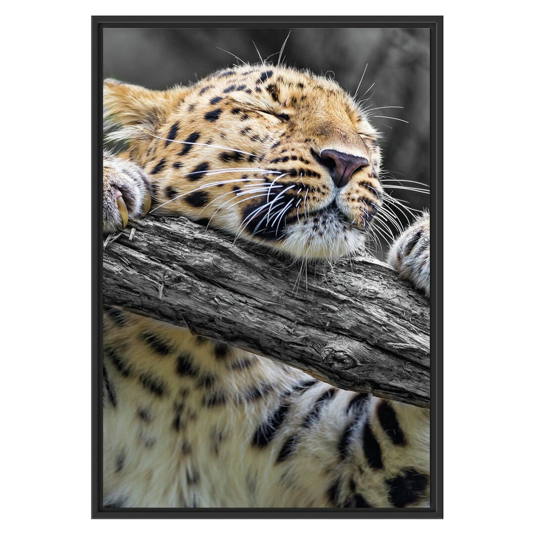 Gerahmtes Wandbild verspielter kleiner Leopard