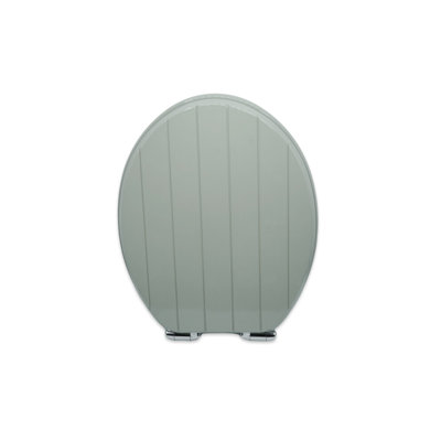Oval Toilet Seat