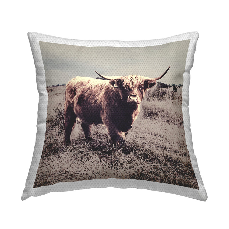 Coussin Farm Farm