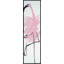 Flamingo Pair 1 Print by Yaffa G