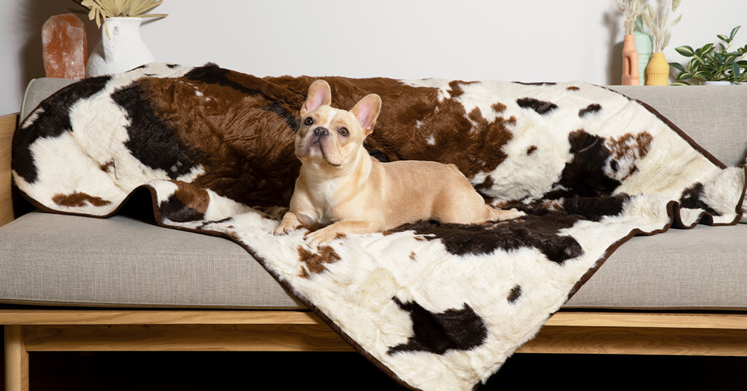 Tail-Wagging Home Essentials!
