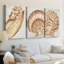 «Vintage Shell Vignette I», toile tendue sur mesure - 3 pièces-738747035