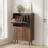 Modern Shoe Cabinet