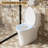 1.1/1.6 GPF Elongated ADA Height One Piece Dual-Flush Toilet with Soft-Closing Seat,MAP Flushing 1000G-121551717