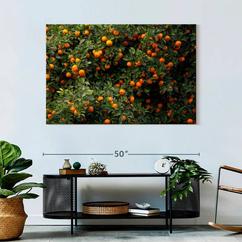 Oranges Harnek Valencia, H 32 po x l 48 po