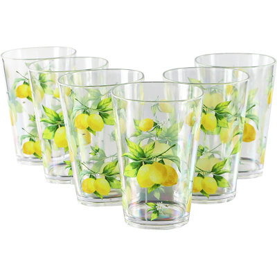 Dericka Acrylic Drinking Glasses