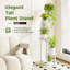 Plant Stand-114288591