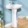 20" W x 16.5" D Pedestal Bathroom Sink U-Shaped Vitreous China with Single Faucet Hole and Overflow