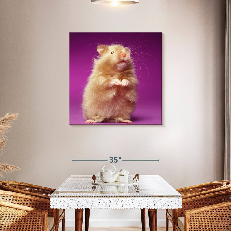 Ketti Fluffy Hamster, 36" H x 36" W
