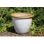 Sundhya Pot Planter-1759075833-1759075832