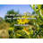 Artsy Quote "He was all iron outside, but all father within." By Hall Caine Gallery Wrapped Canvas-1146506513
