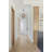 Daphyne 4 - Light Single Globe Pendant