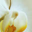 Print on Canvas-1739207325