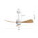 42 In. 3 Abs Blades Indoor Ceiling Fan With Light Kit And Remote