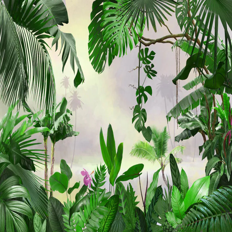 Tropical Dawn Canopy, 161" L x 110" W