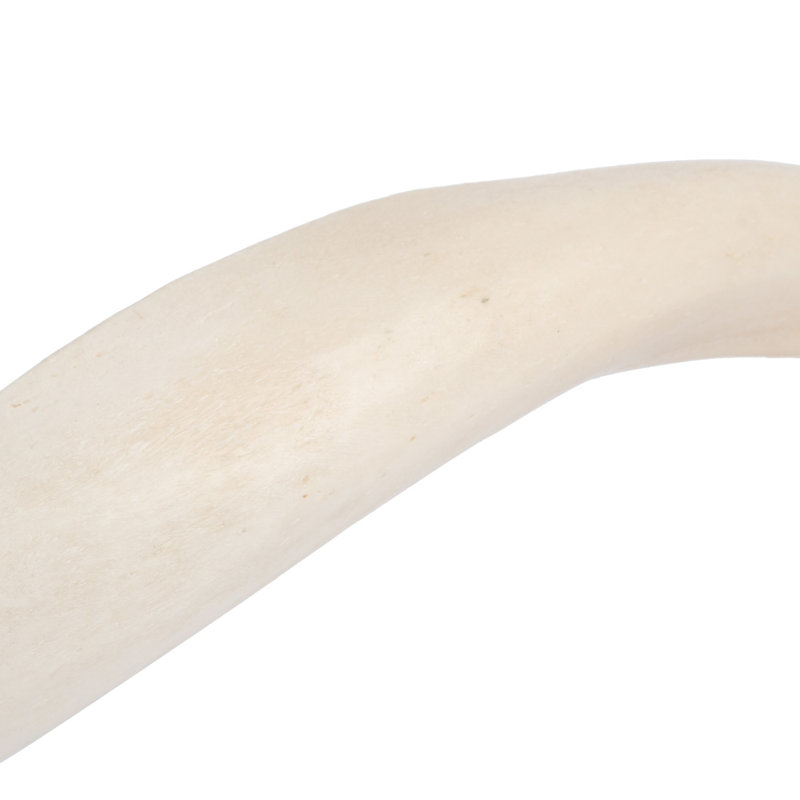 Polished Inner Horn (Loose)