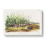 Shrew Mole by J.W. Audubon - Wrapped Canvas-55318920