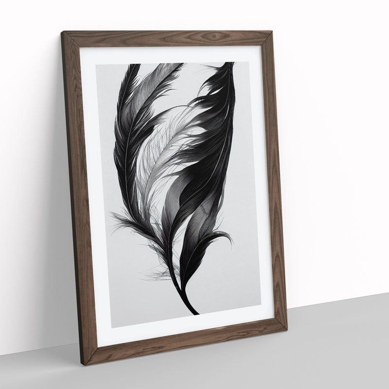 Wistful Feather - Wall Art, 64cm H x 46cm W, Walnut Framed