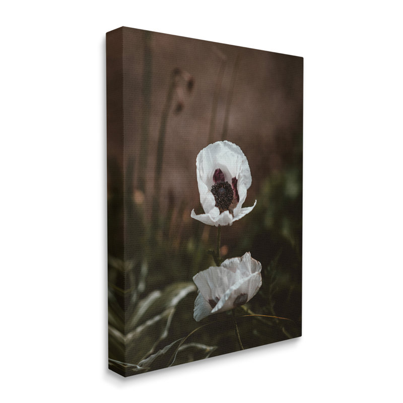 Lonely White Flower Blossom Forest par Incado - photographie, H 20 po x l 16 po x P 1,5 po, Toile tendue