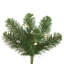 Oregon Christmas Tree-715030354