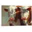 « cow bells », peinture sur toile tendue-20906365