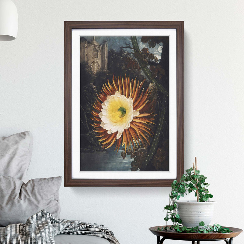 Blooming Cacti by R.J. Thornton - Picture Frame Painting Print, 36cm H x 27cm W x 2cm D, Walnut Framed