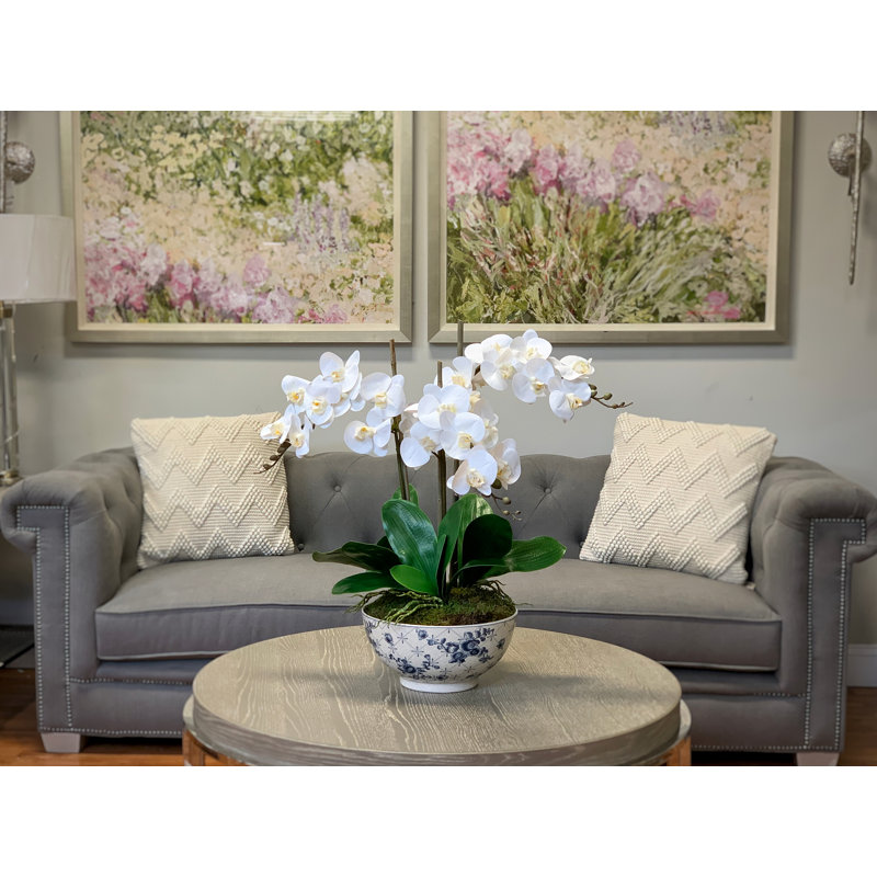 Phalaenopsis Orchid Arrangement In Blue And White Pot