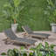 BANZAI CHAISE Longe avec plateau