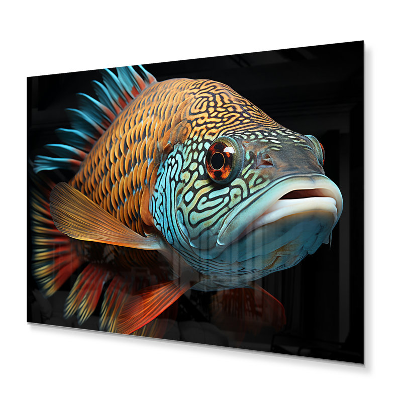 " Fish Portrait Photo ", 12" H x 20" W x 1" D
