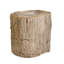 Petrified Solid Wood Tree Stump End Table